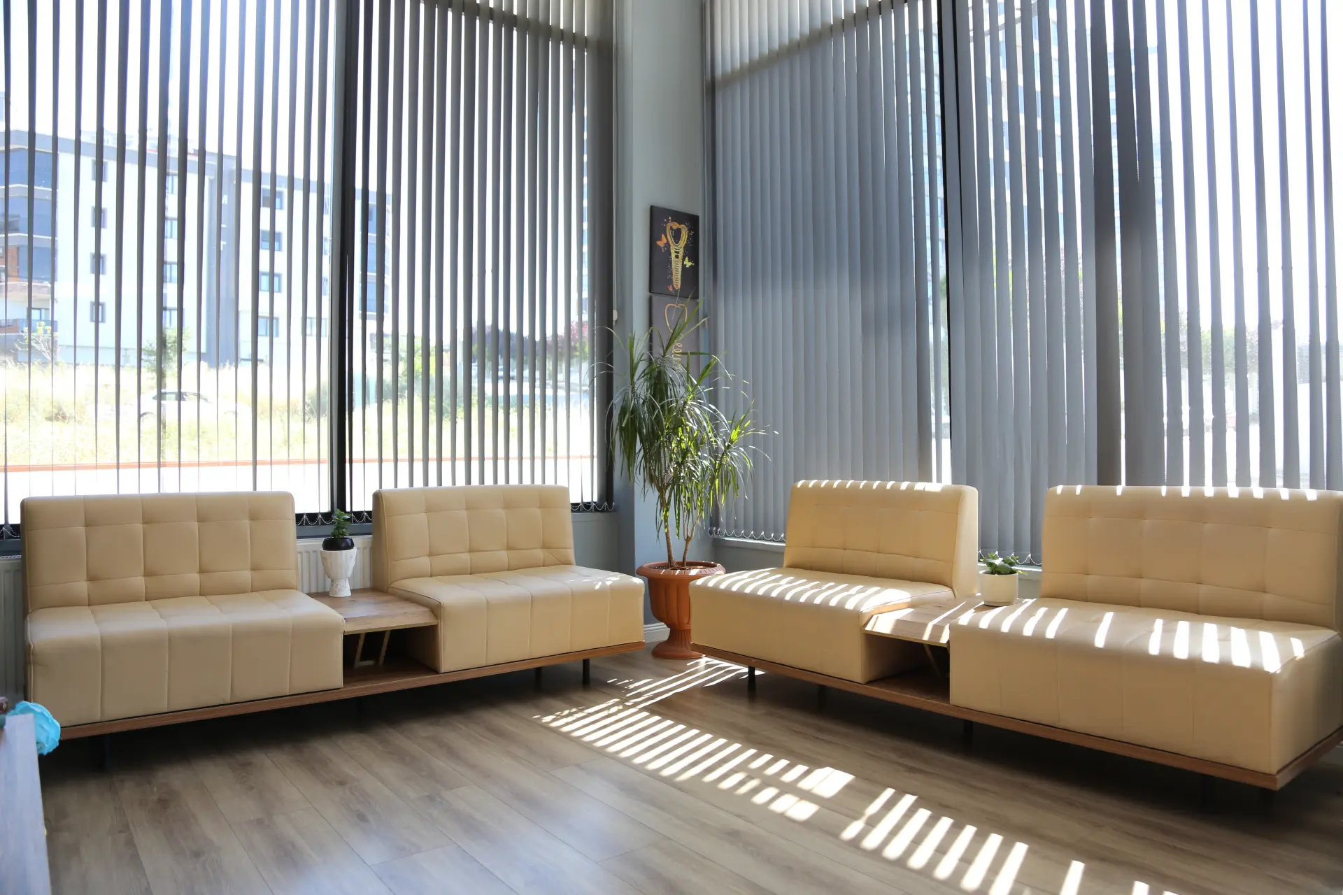 The sunlit waiting room at Nobel Plus